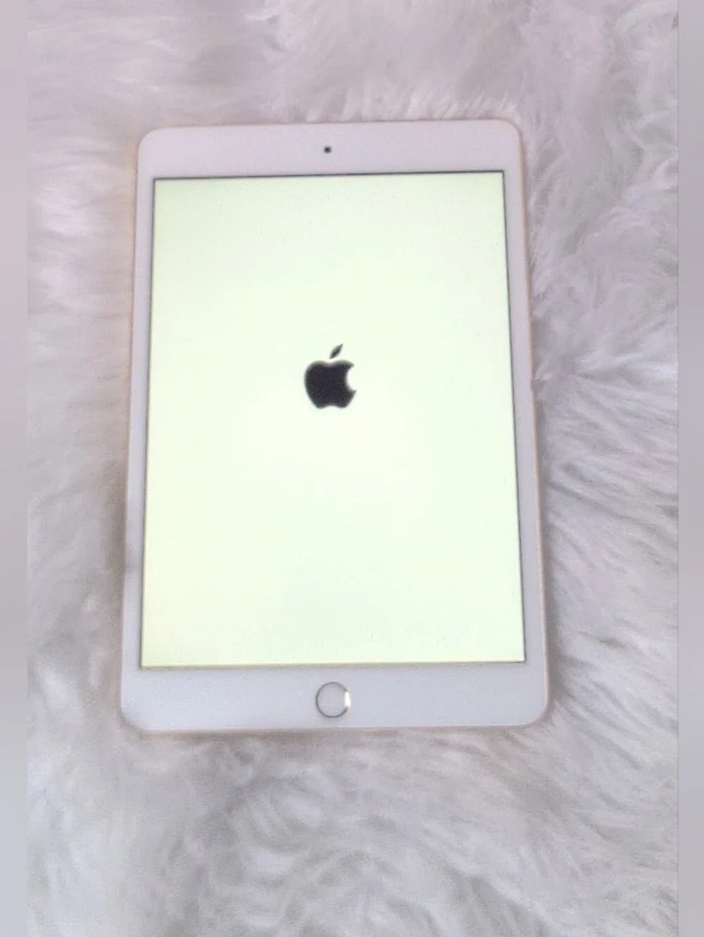 Apple iPad Mini 3rd Generation
